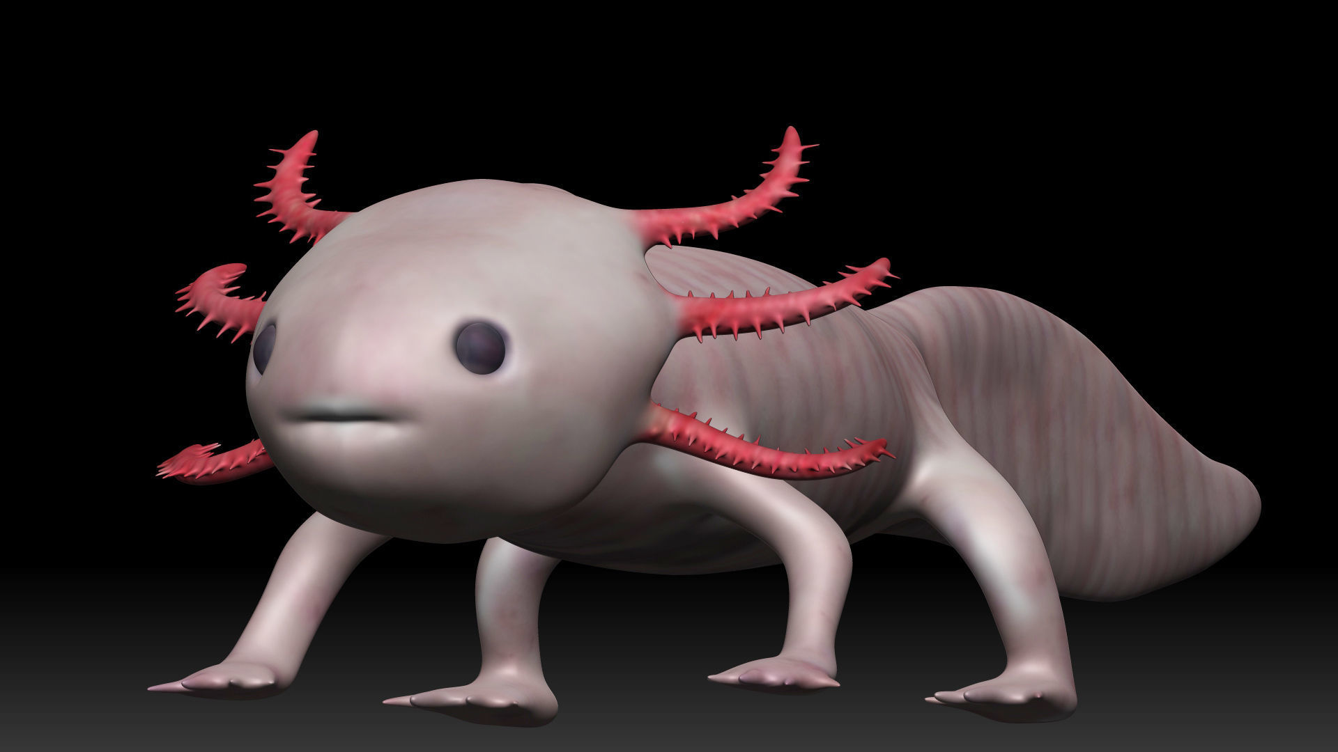 Axolotl arachnid Low-poly 3D model_2