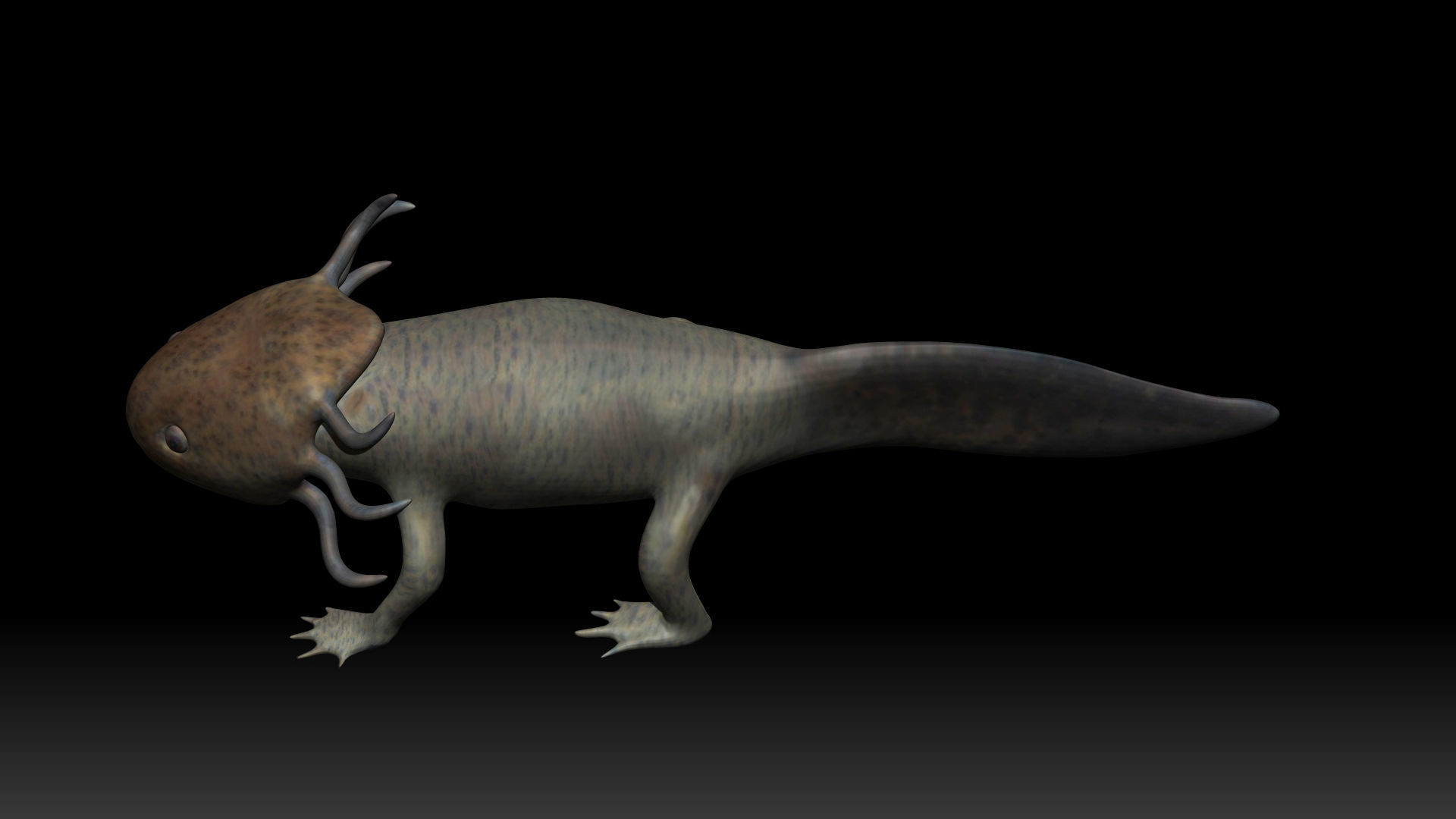 Axolotl arachnid creature Low-poly 3D model_6