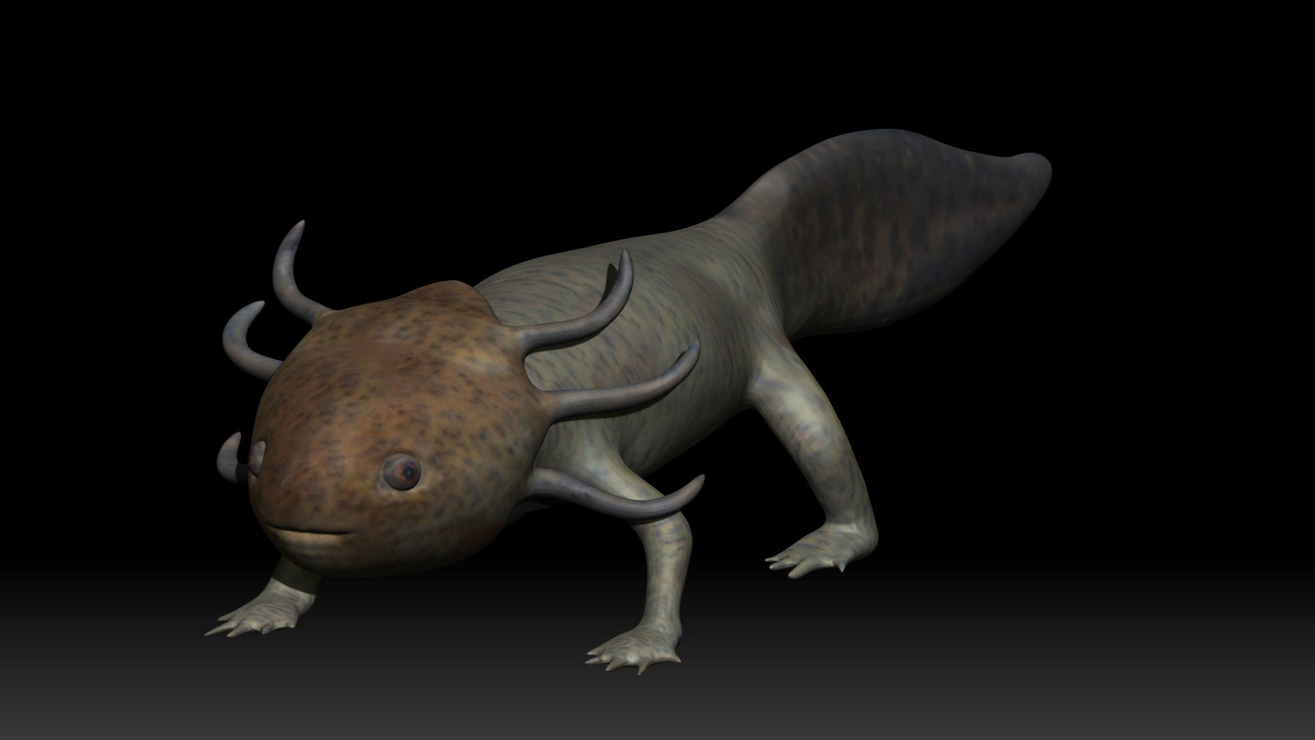 Axolotl arachnid creature Low-poly 3D model_2