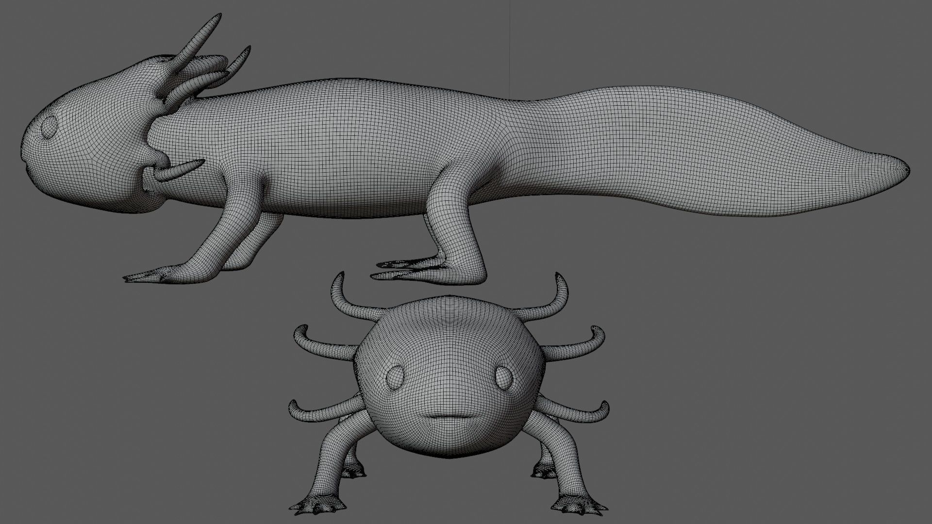 Axolotl arachnid creature Low-poly 3D model_8