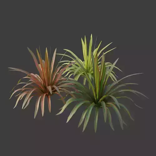 XfrogPlants New Zealand Flax - Phormium Tenax  Free low-poly 3D model