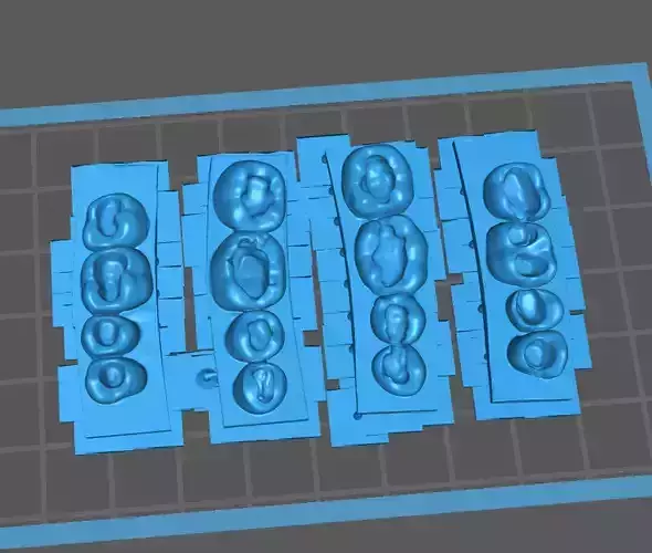Dental training models