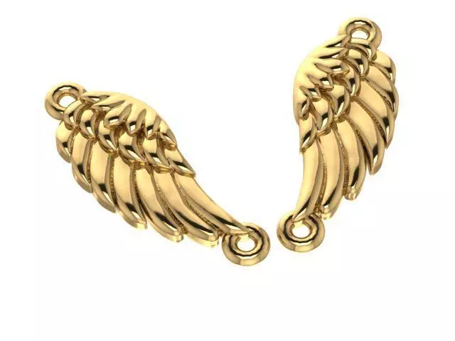 Eagle wings 3D print model_0