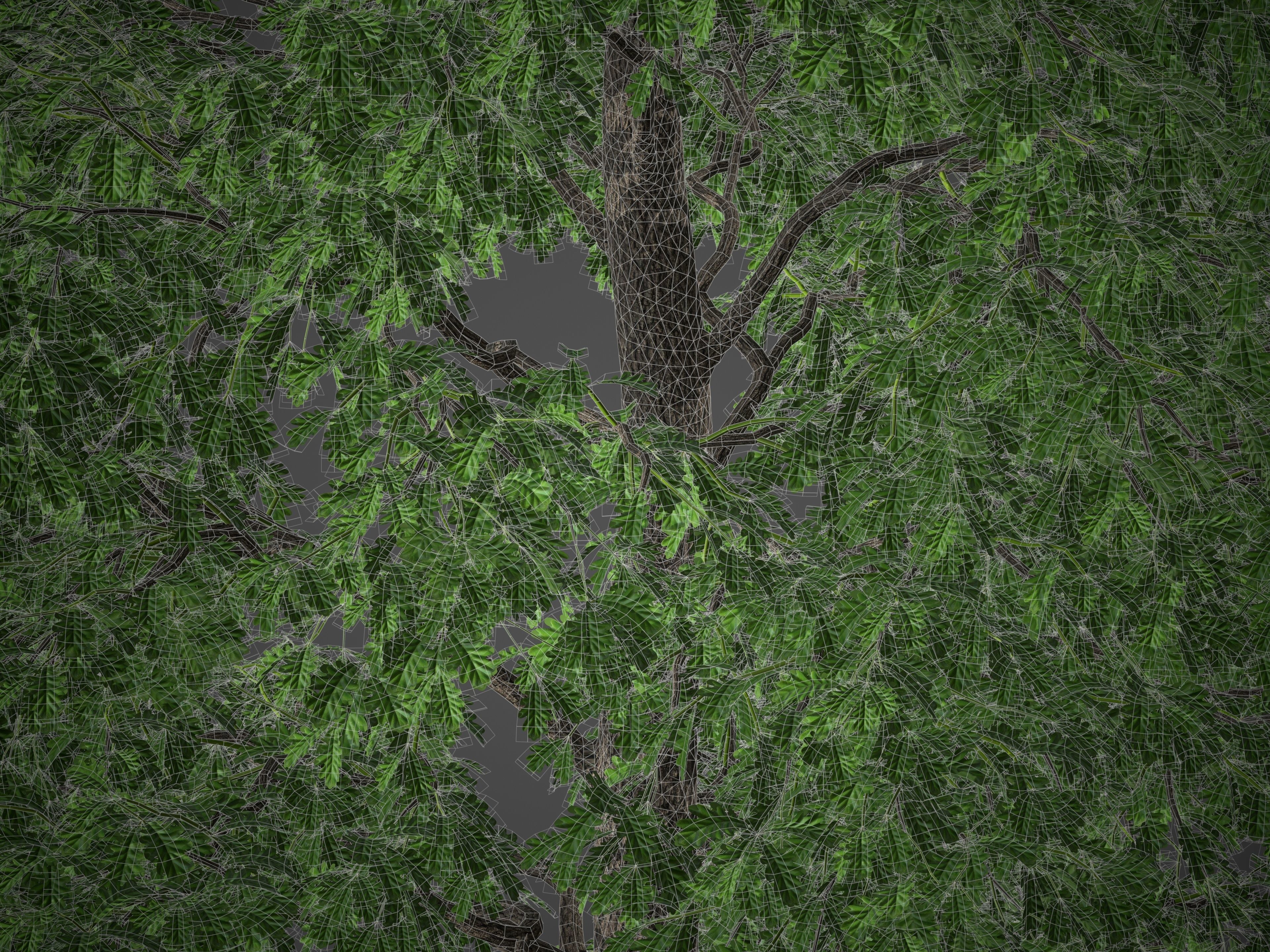 XfrogPlants Common Oak - Quercus Robur 3D model_4