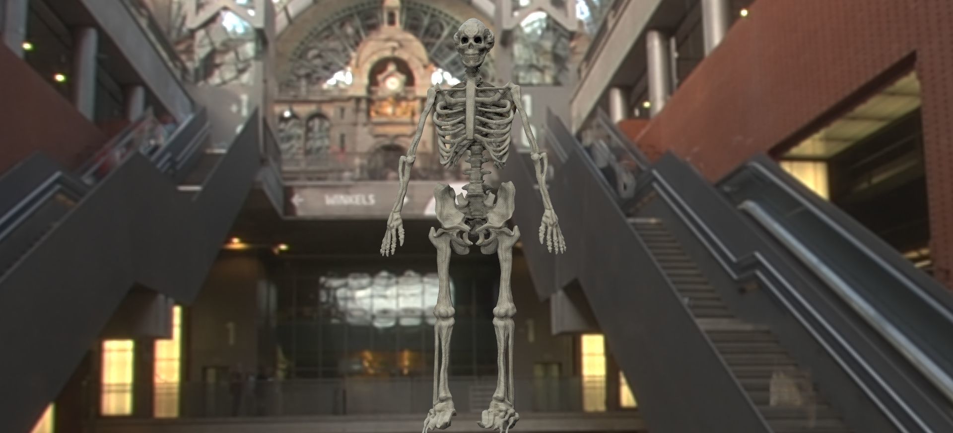 skeleton in warehouse 3D model_1