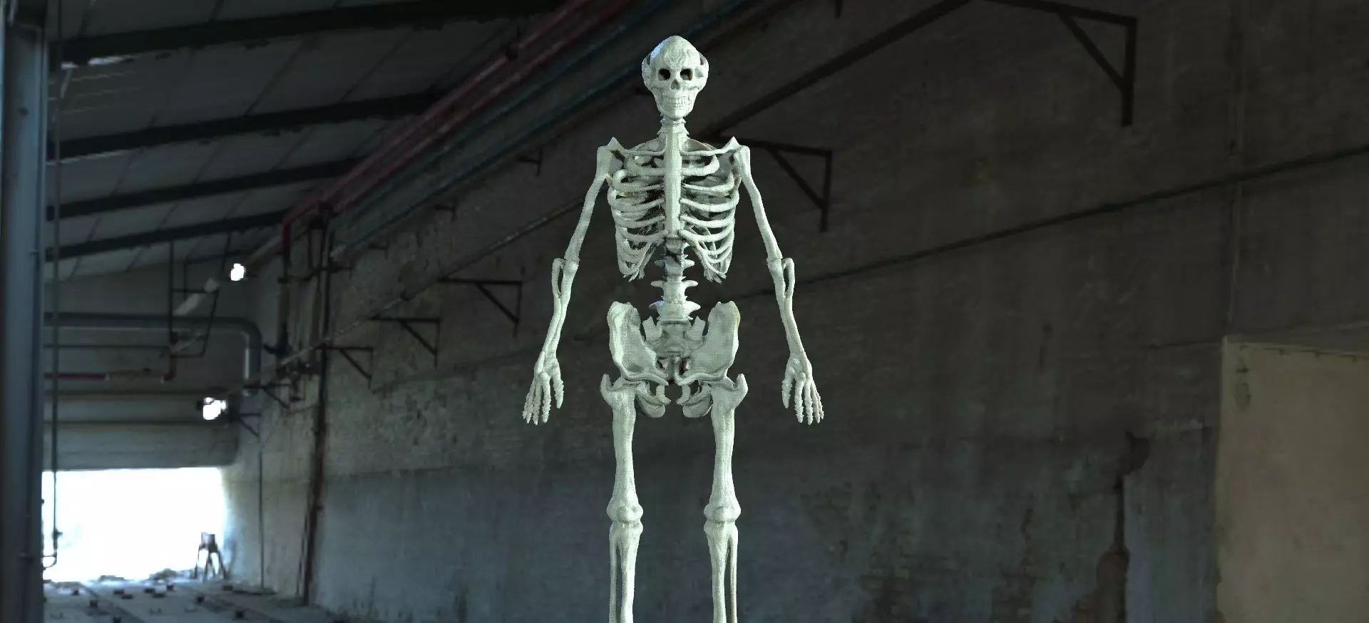 skeleton in warehouse 3D model_0