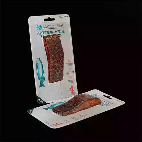Roasted Salmon 1 3D model