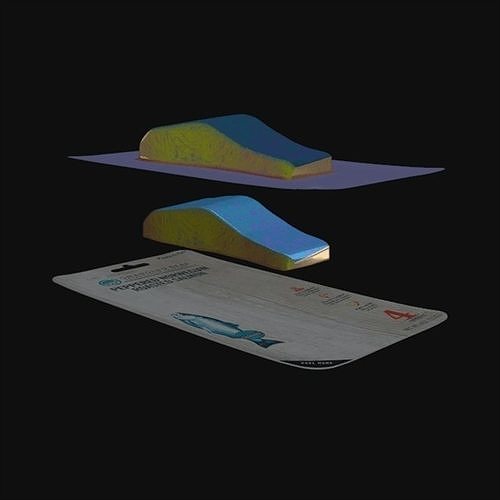Roasted Salmon 1 3D model 7