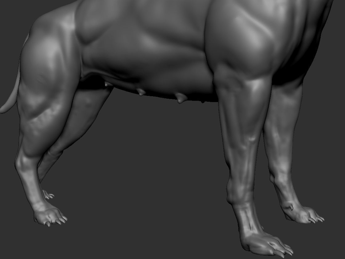 Pitbull sculpt for 3d printing 3D print model_6