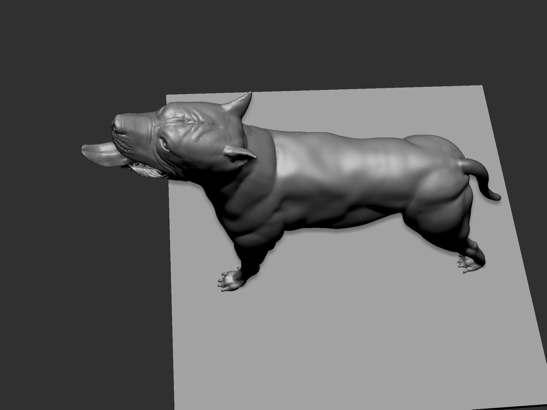 Pitbull sculpt for 3d printing 3D print model_8