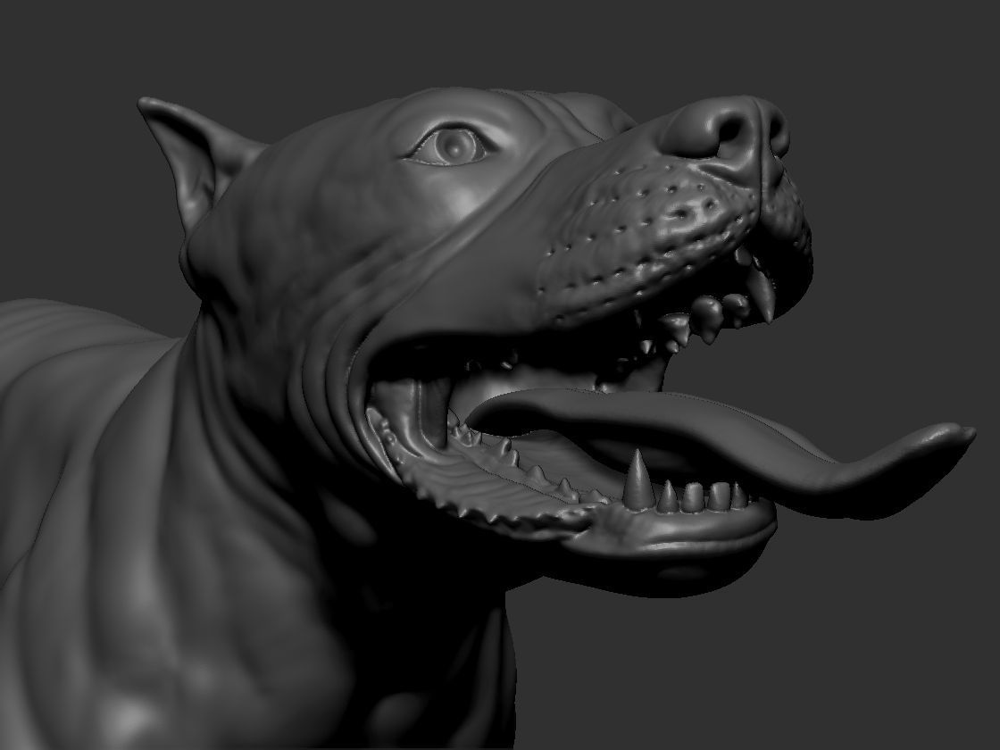 Pitbull sculpt for 3d printing 3D print model_5