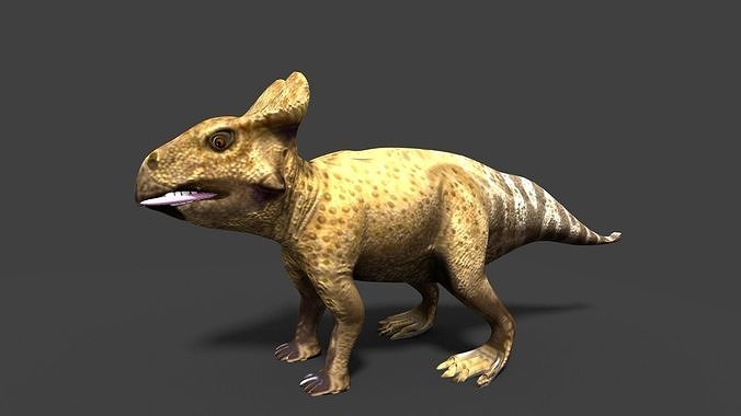 protoceratops dinosaur 3D model