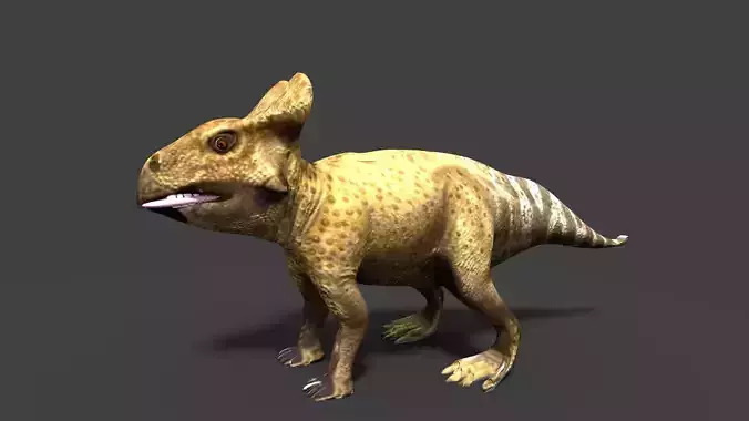 protoceratops dinosaur 3D model