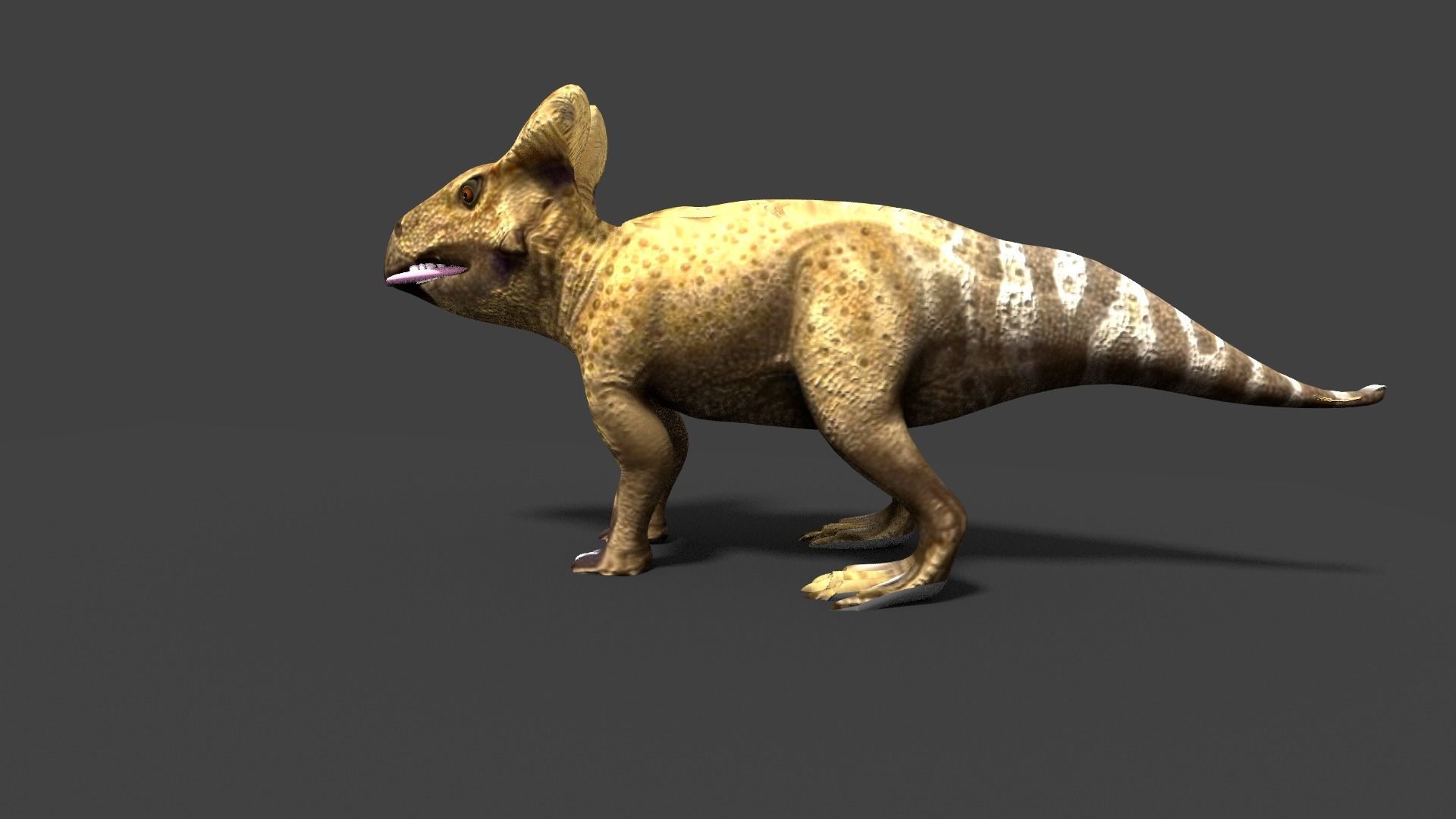 protoceratops dinosaur 3D model_4