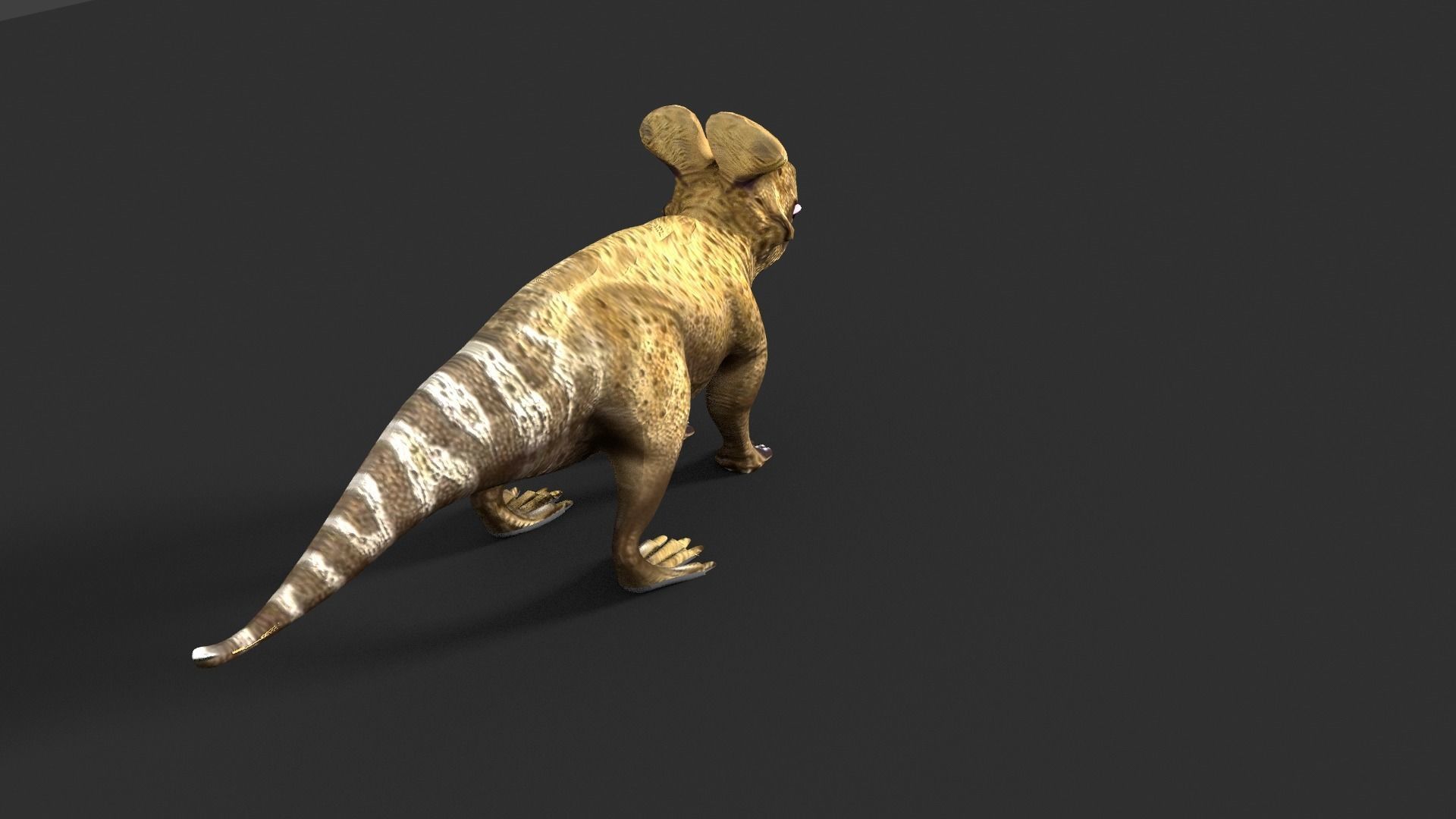protoceratops dinosaur 3D model_8