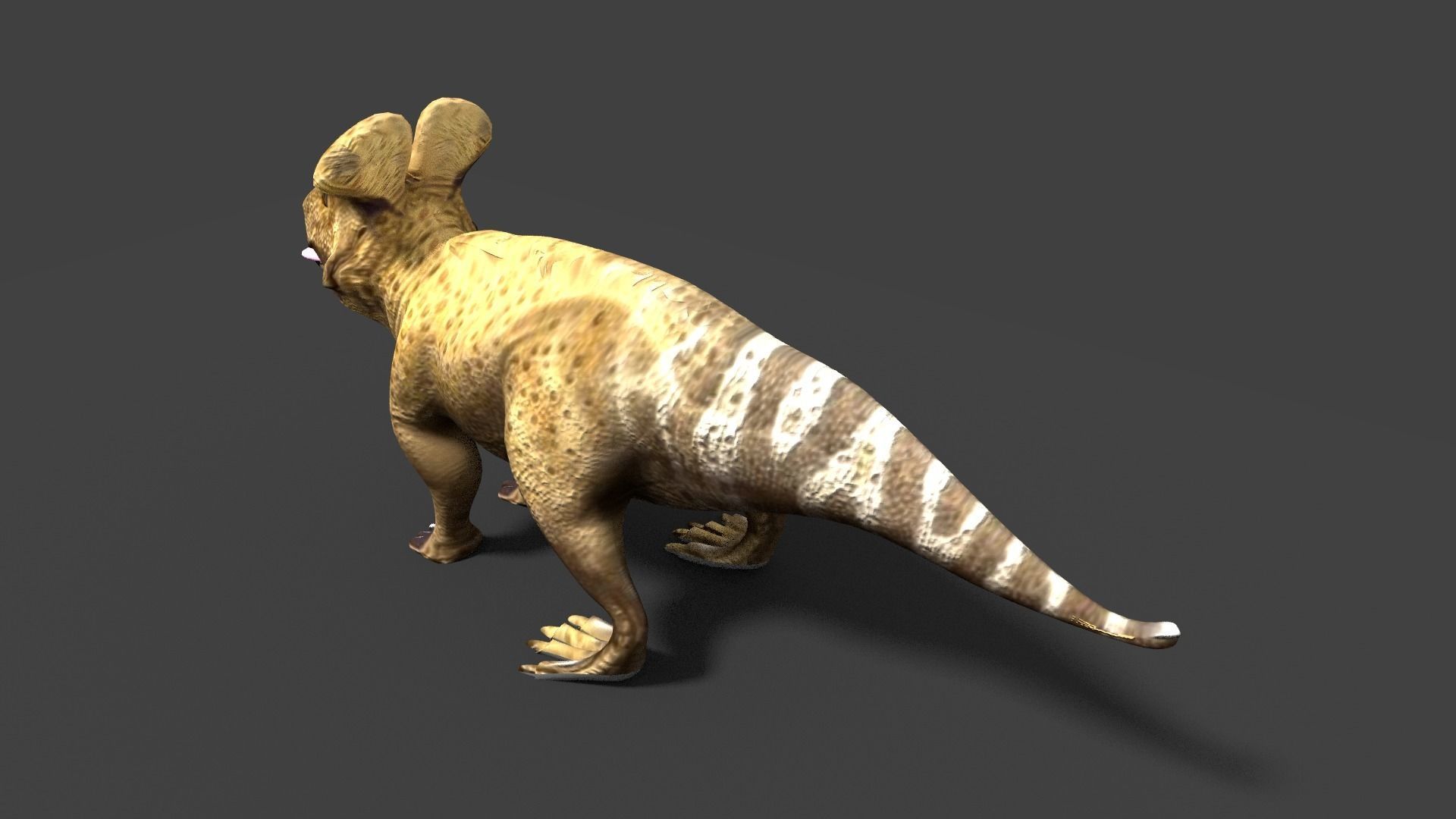 protoceratops dinosaur 3D model_6
