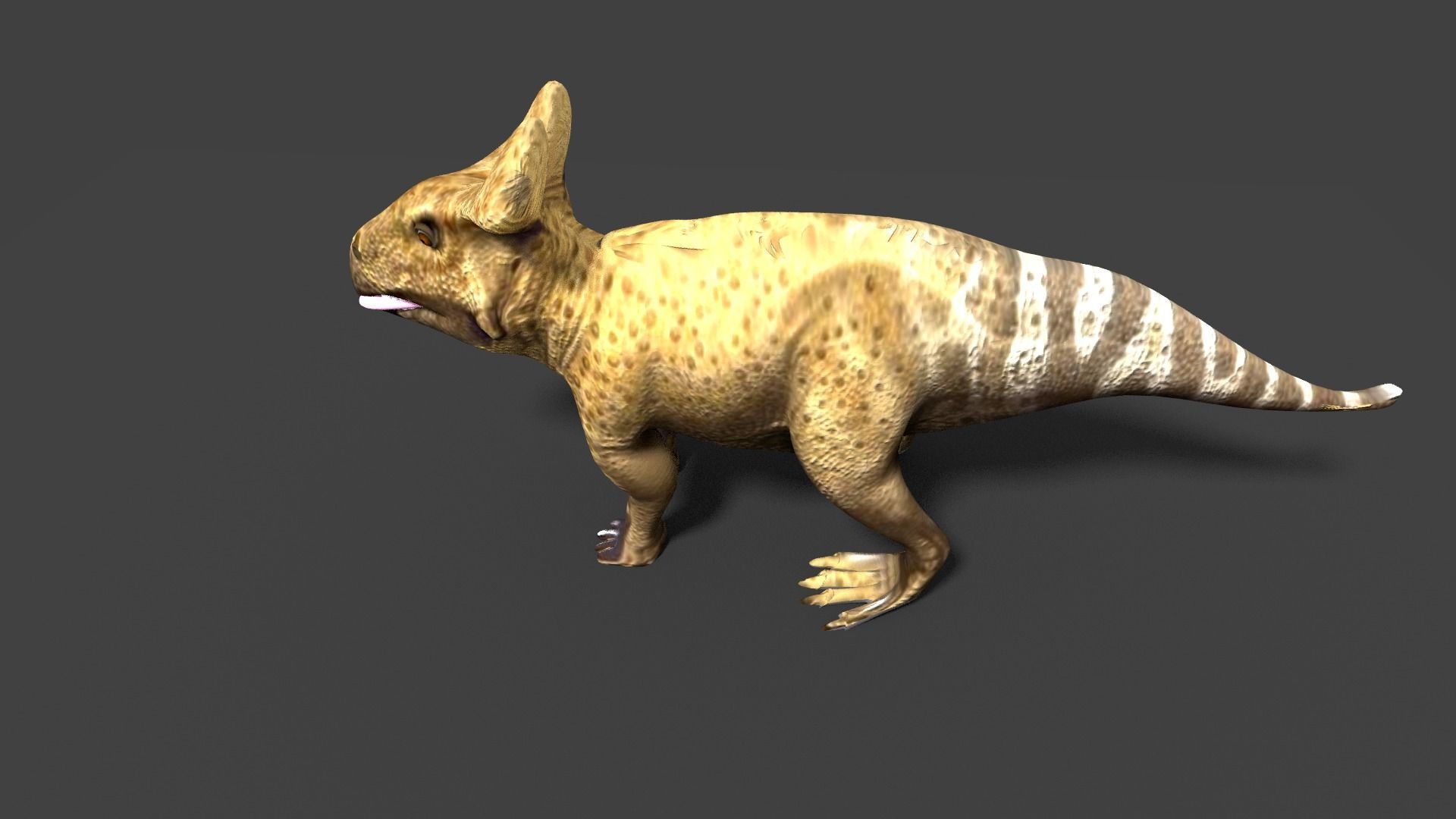 protoceratops dinosaur 3D model_5