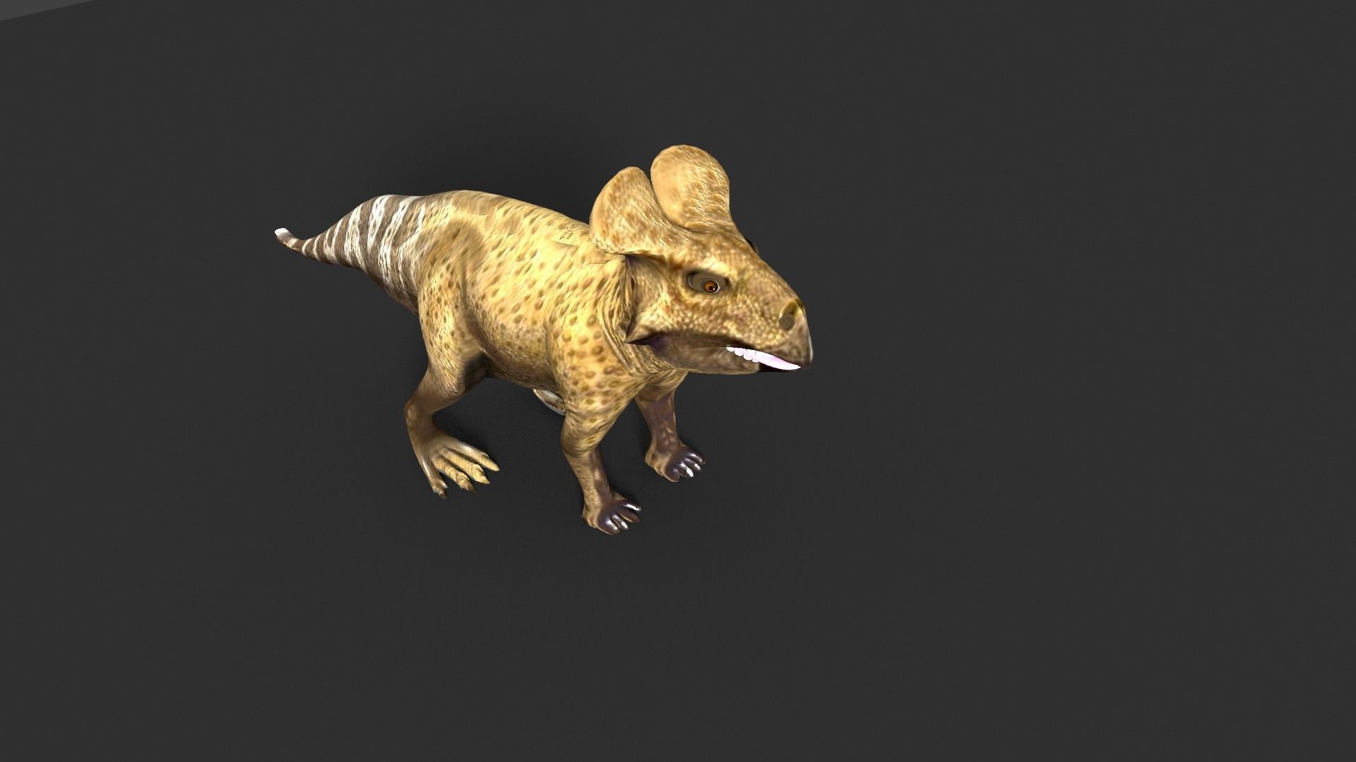 protoceratops dinosaur 3D model_1