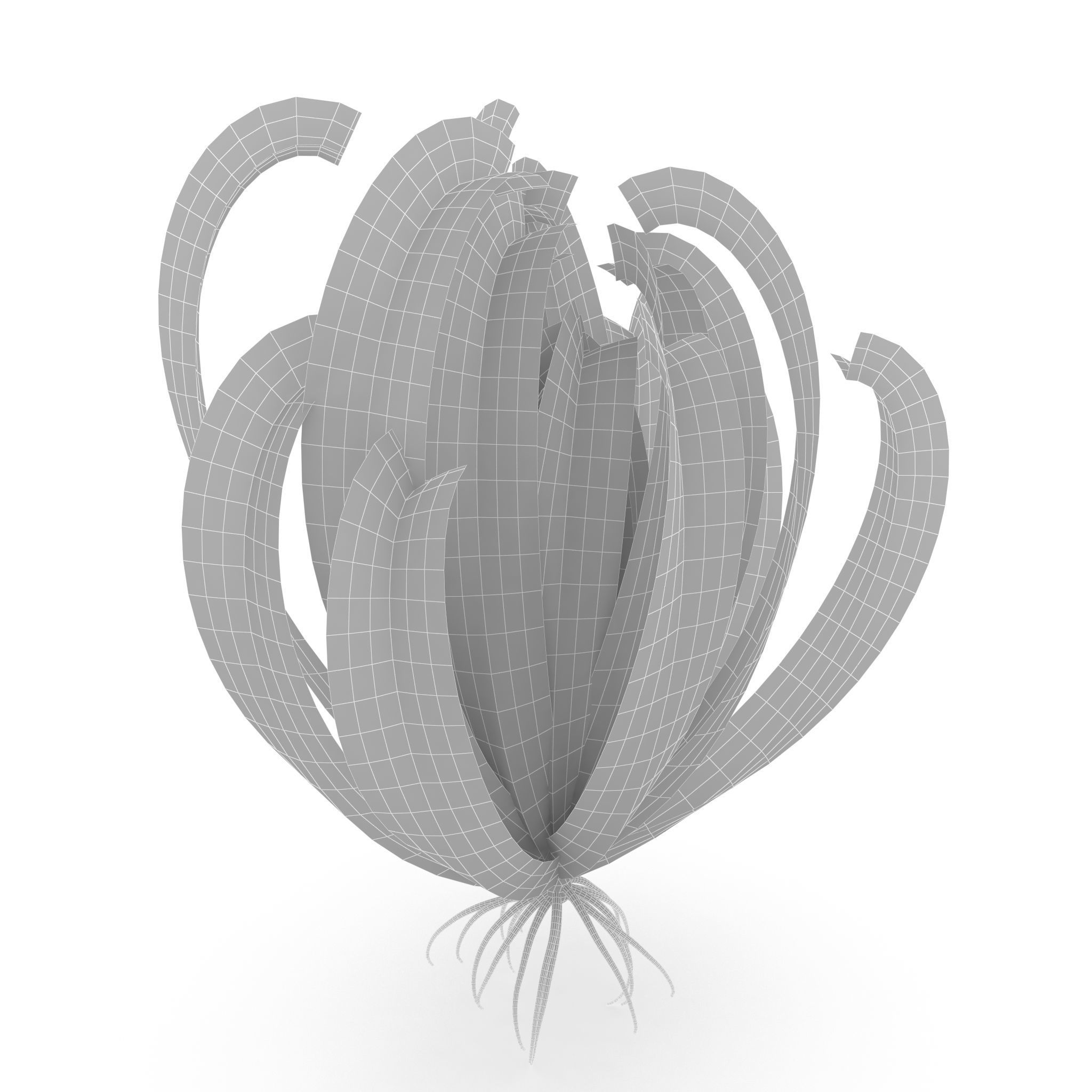 Crinoid feather Low-poly 3D model_7