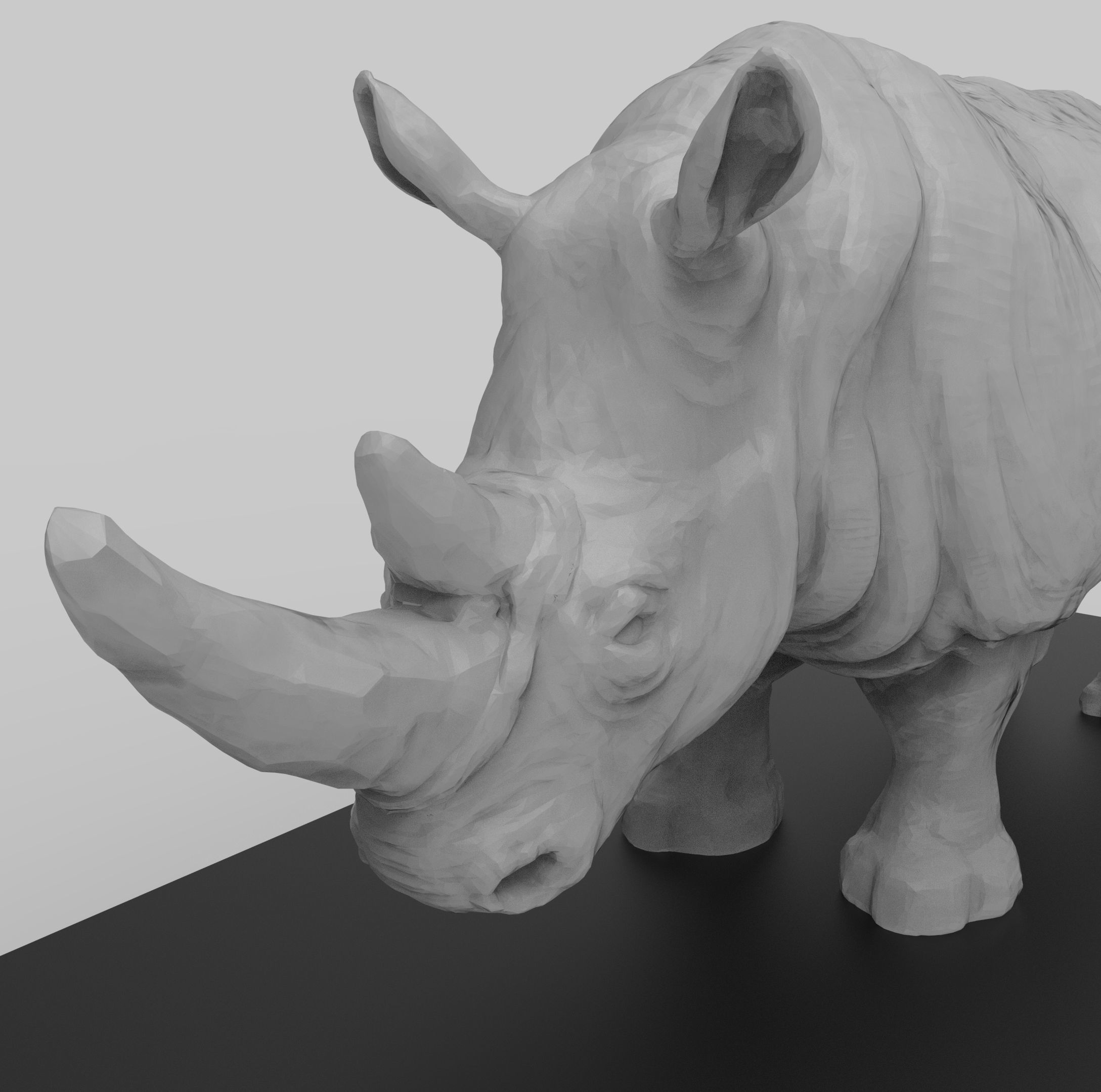 DC003S - Rhino - Endangered Animal Series 3D print model_3