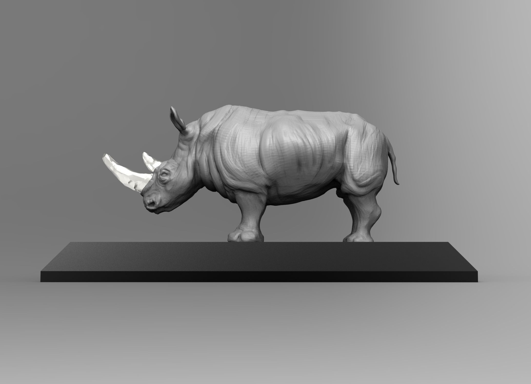 DC003S - Rhino - Endangered Animal Series 3D print model_6