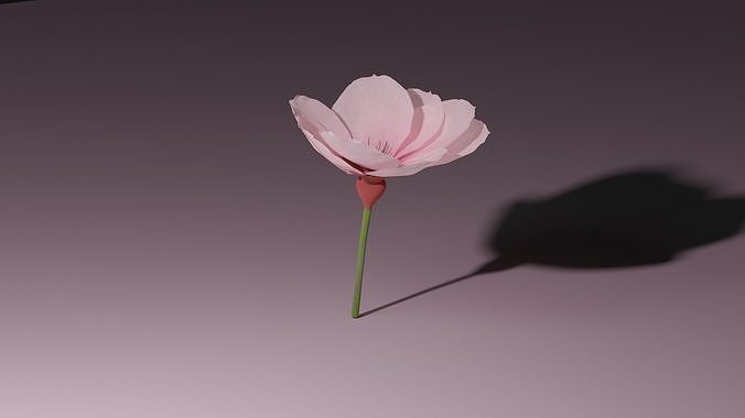 Sakura flower Low-poly 3D model