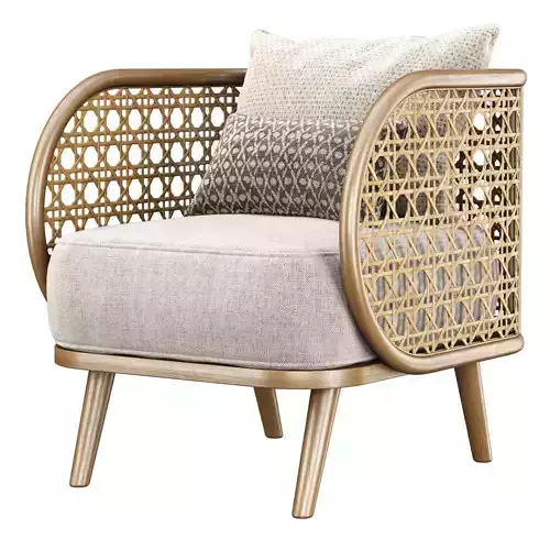 Carry rattan dining chair SA12