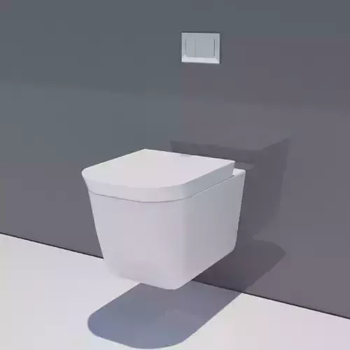 Ceramic wall mounted toilet