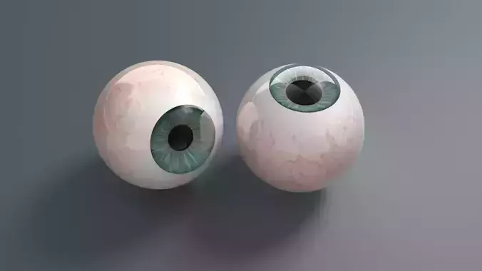 Eyeball two human eyes