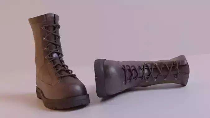 Danner Boots