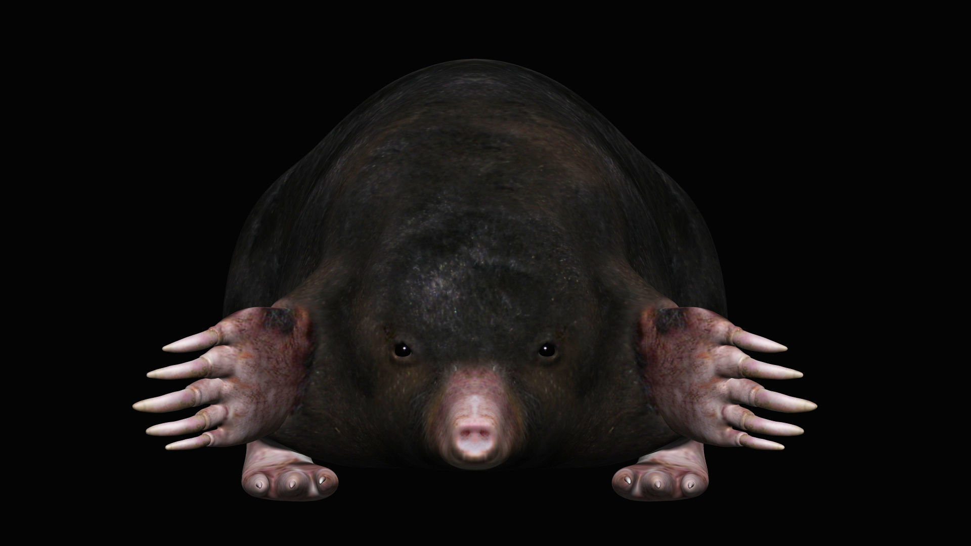 Mole rodent Low-poly 3D model_1