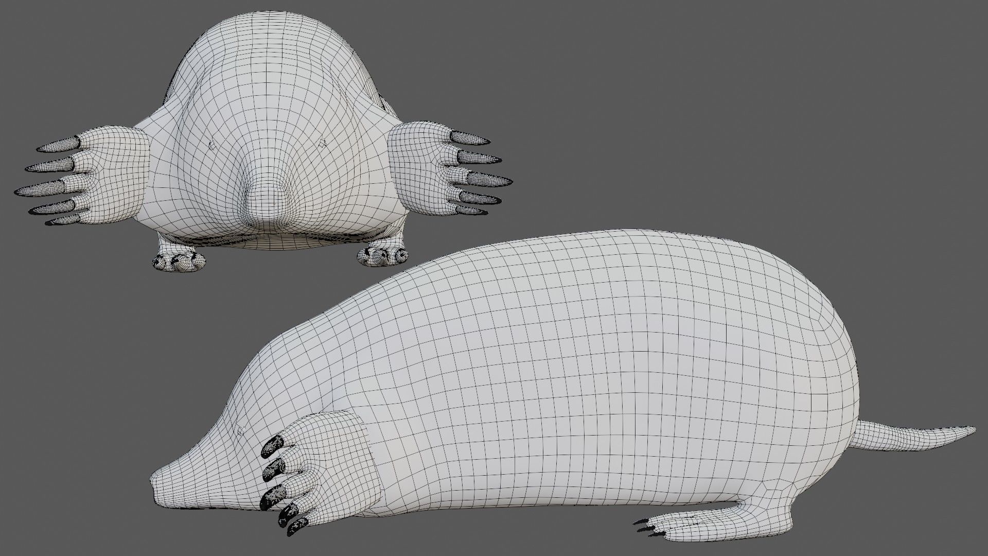 Mole rodent Low-poly 3D model_6