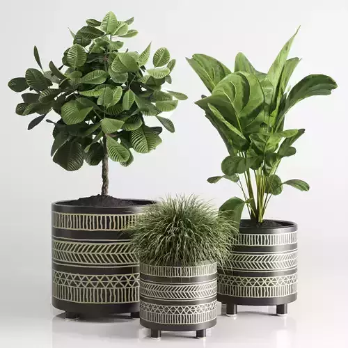 collection Indoor plant 55 vase handmade pottery plant grass pot