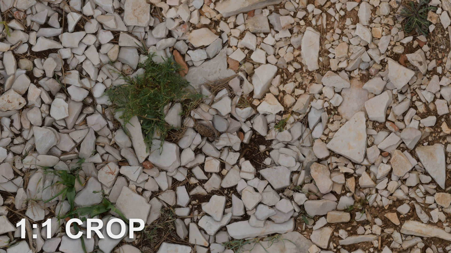 Natural crushed rocks ground seamless texture Texture_10