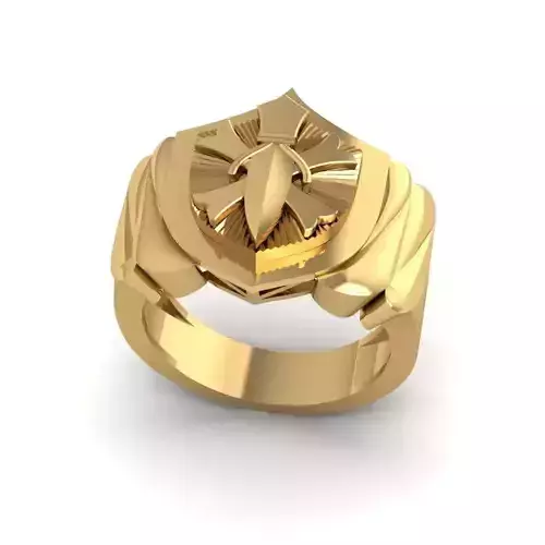 Sword and Shield Ring