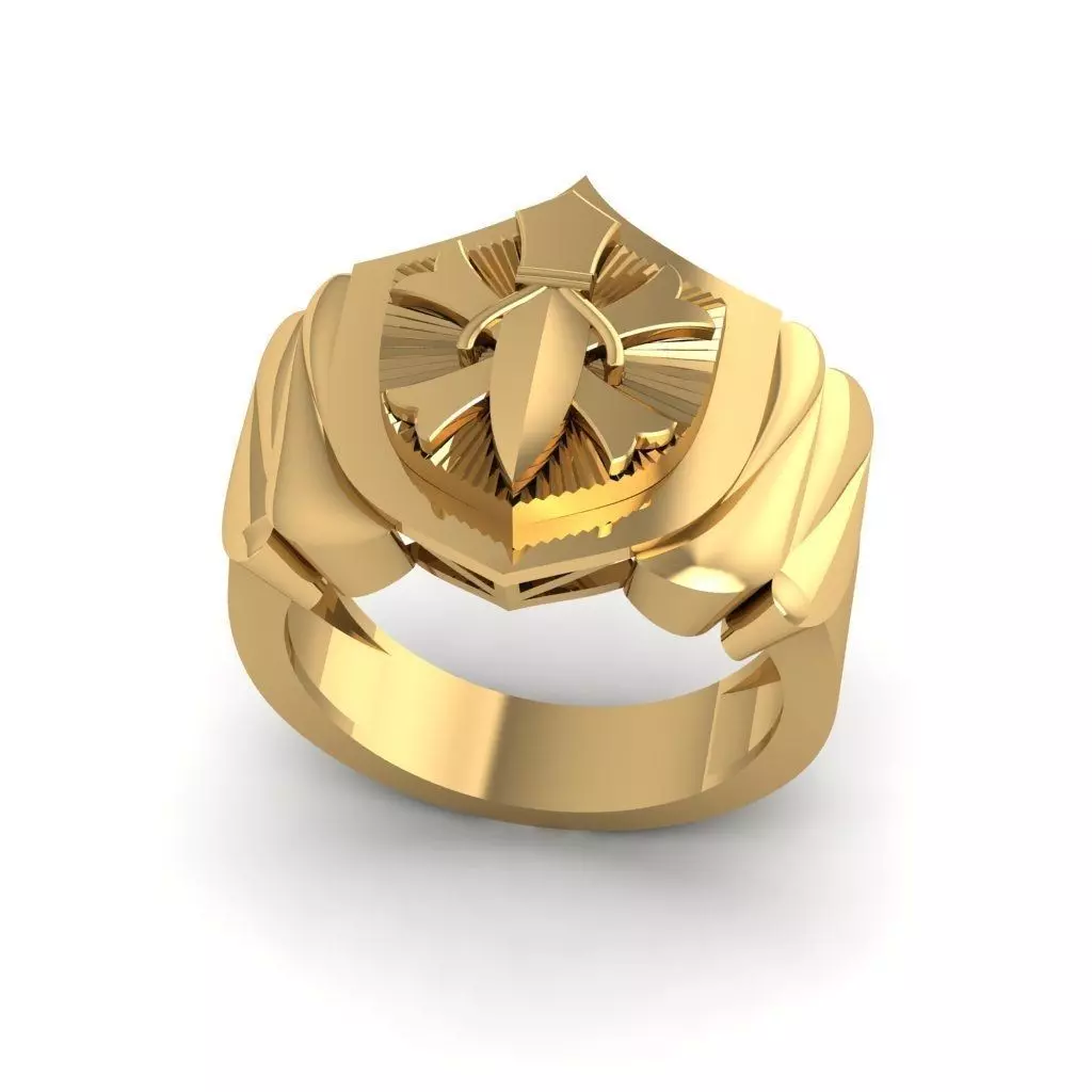 Sword and Shield Ring 3D print model