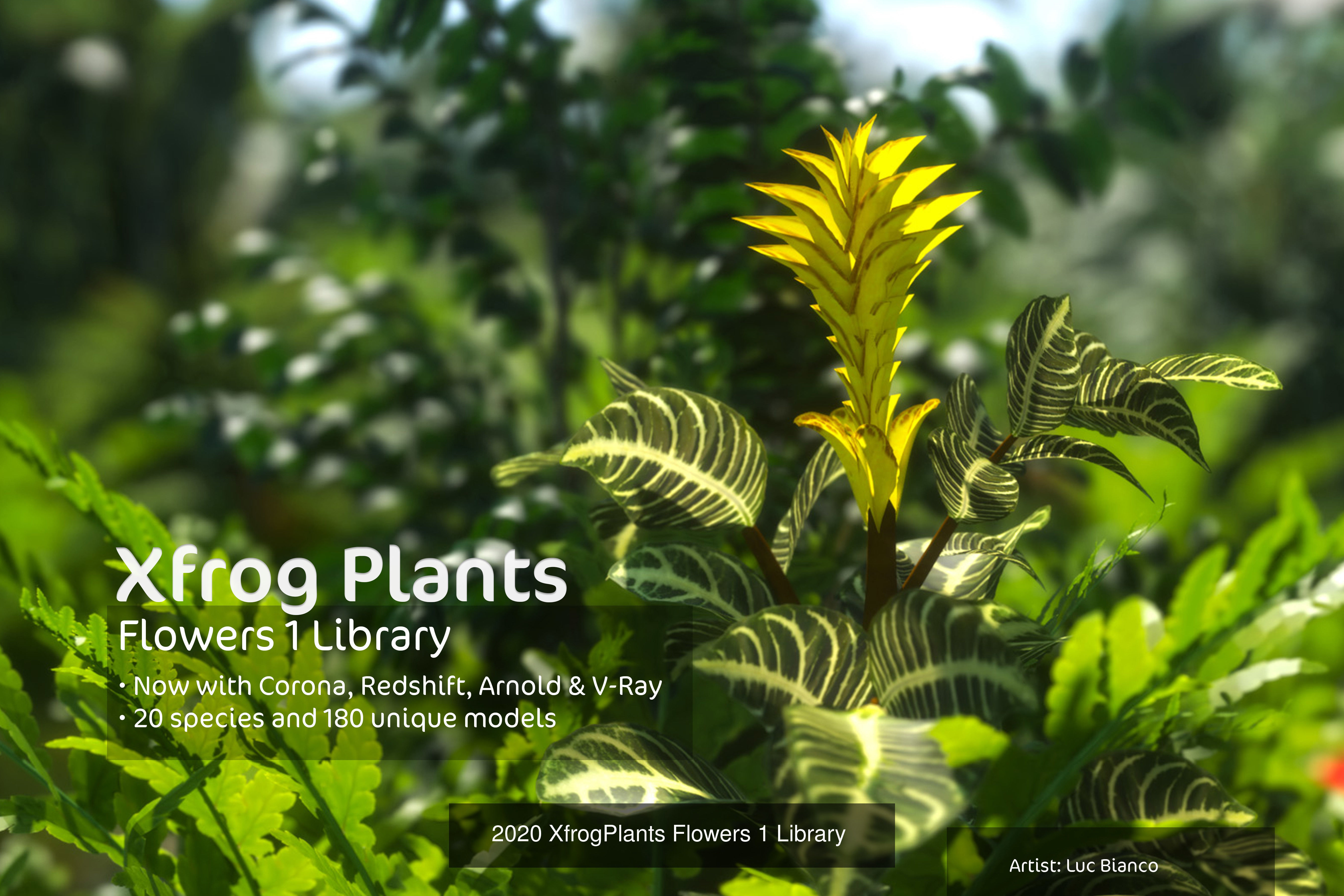 XfrogPlants Volume 1 3D Model Collection_17