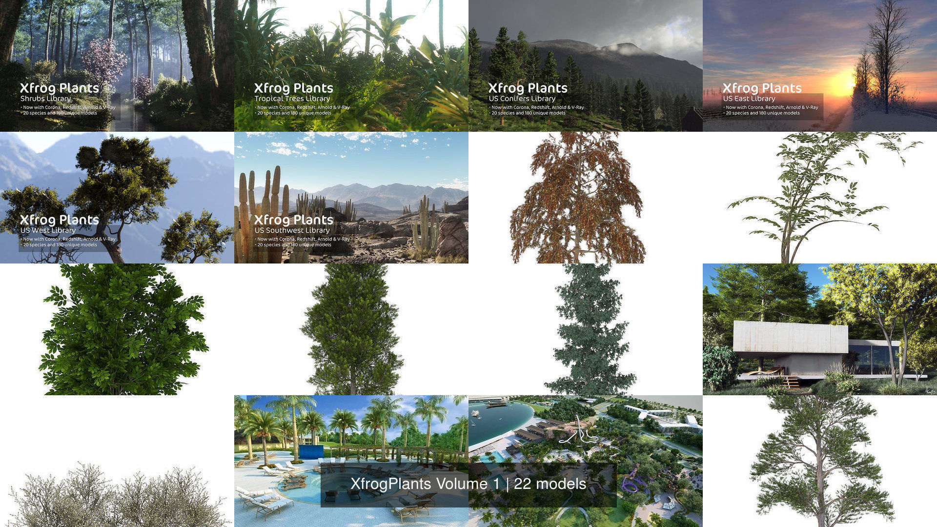 XfrogPlants Volume 1 3D Model Collection_8