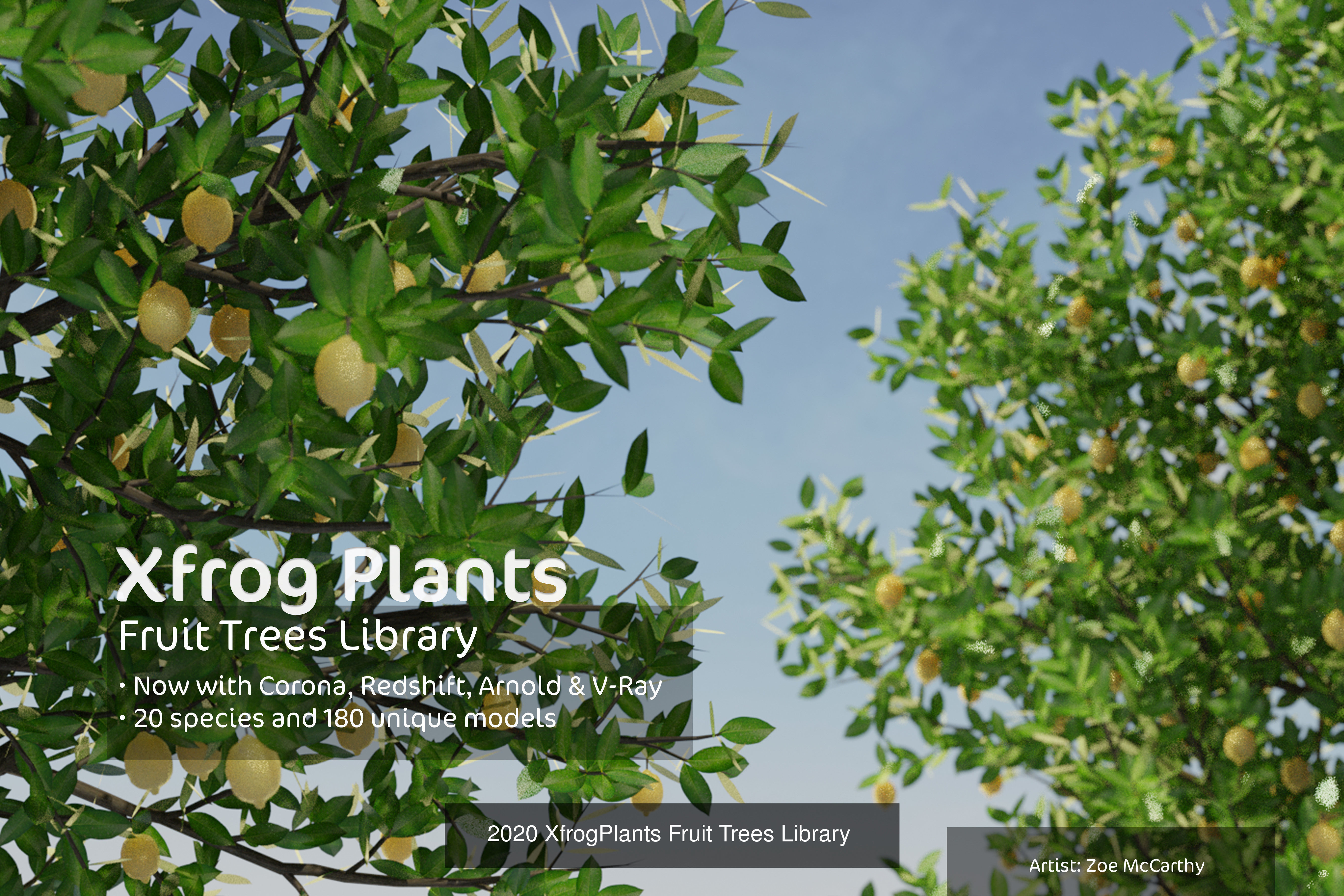 XfrogPlants Volume 1 3D Model Collection_19