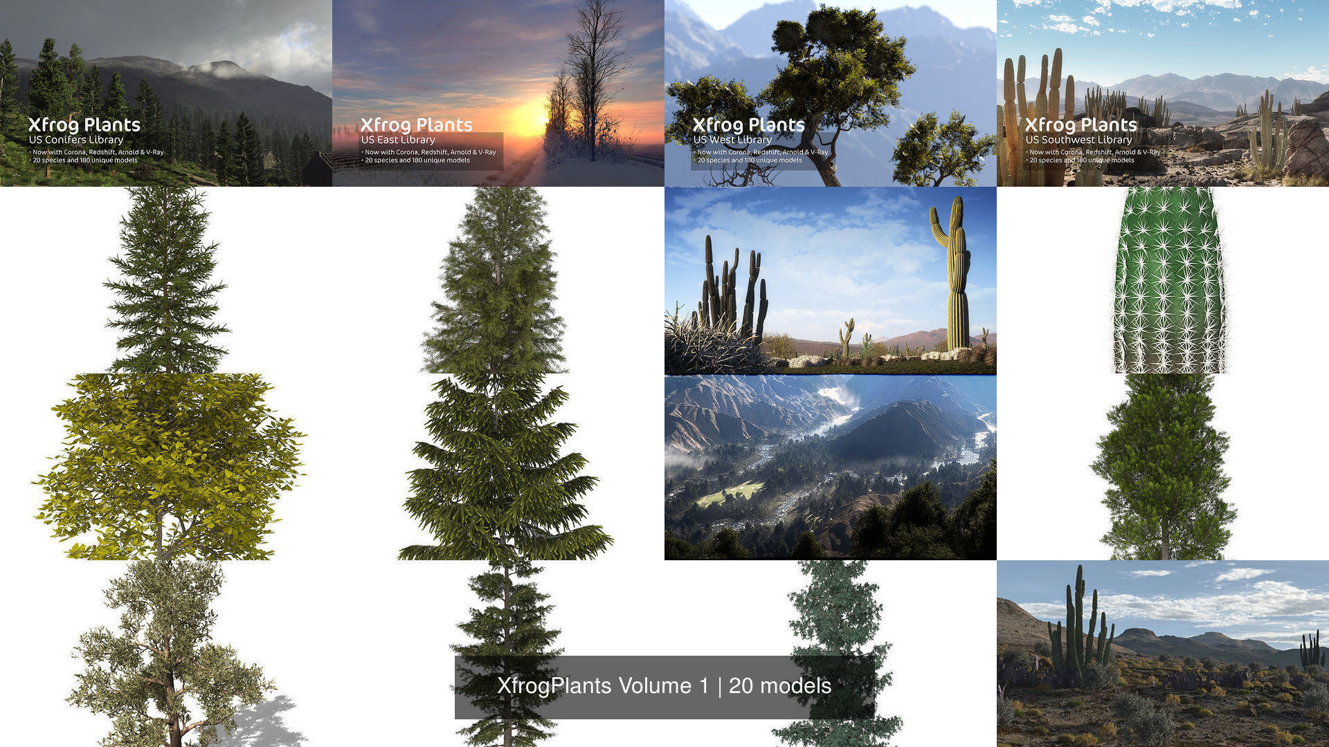 XfrogPlants Volume 1 3D Model Collection_7