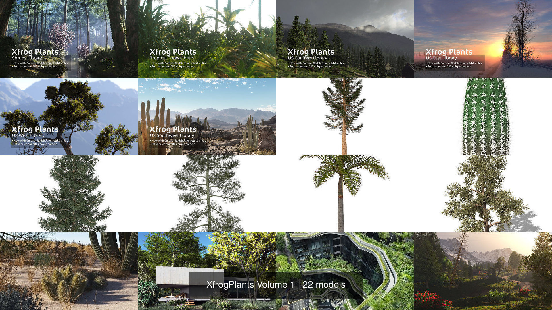 XfrogPlants Volume 1 3D Model Collection_4