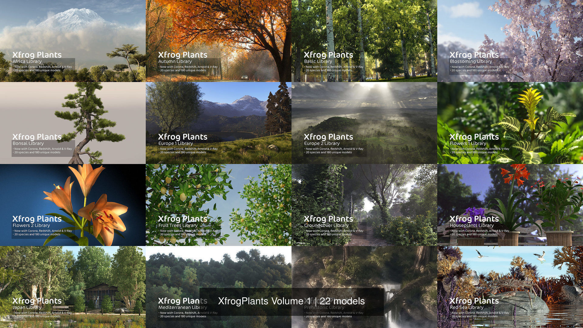 XfrogPlants Volume 1 3D Model Collection_3