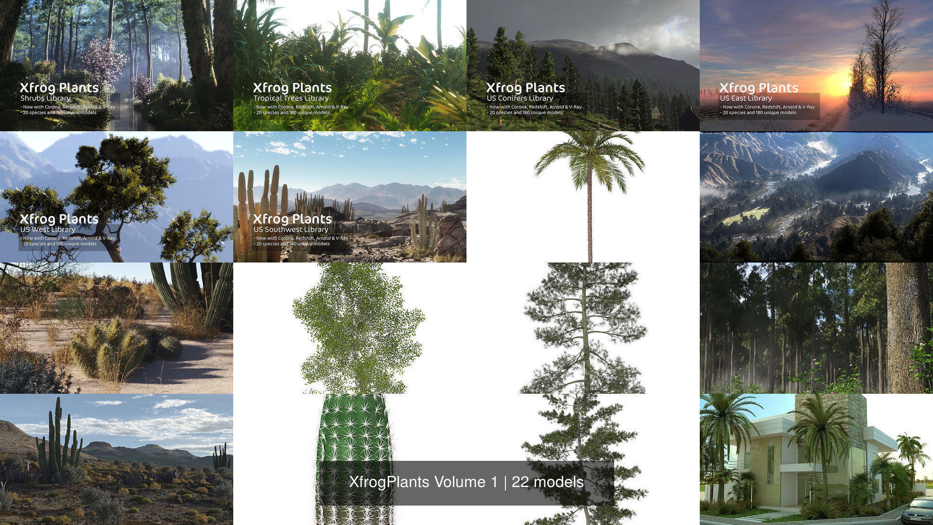 XfrogPlants Volume 1 3D Model Collection_6