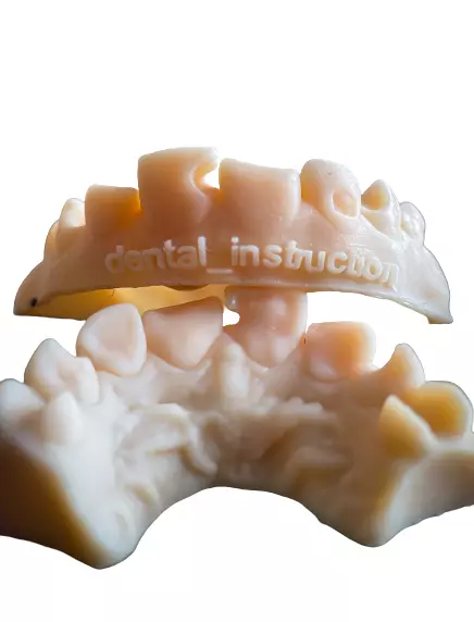 DENTAL training model 3D print model