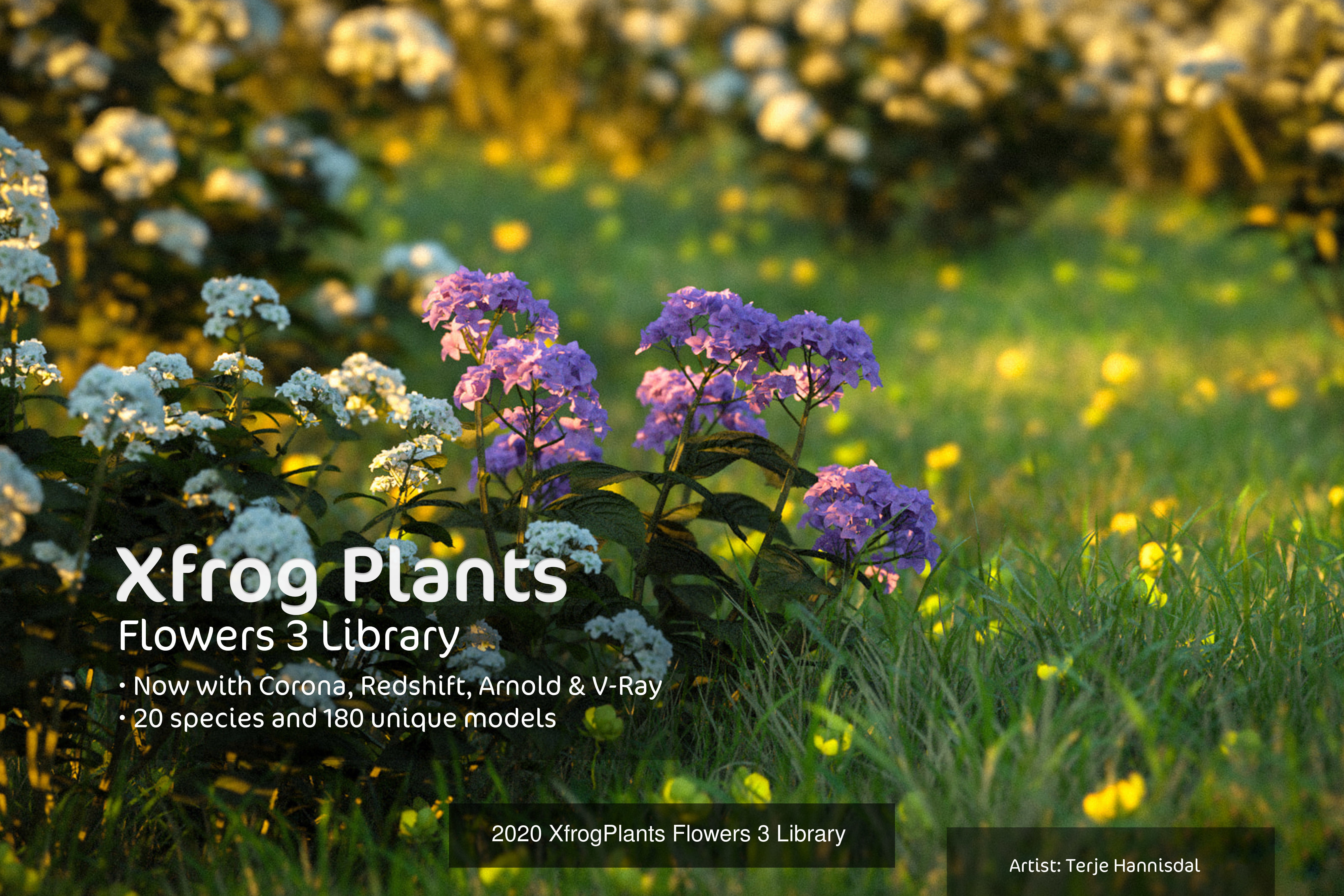 XfrogPlants Volume 2 3D Model Collection_3