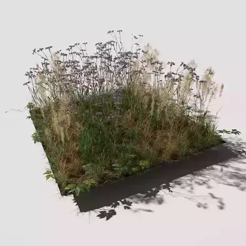 Cornflower Meadow Patch 3D model
