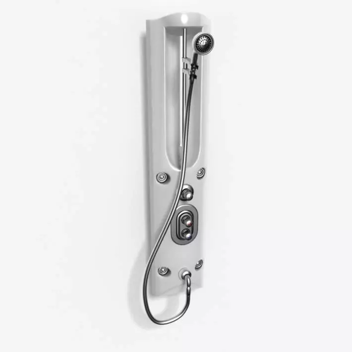 Wall Mounted Hand Held Detachable Shower Head 3D model_0