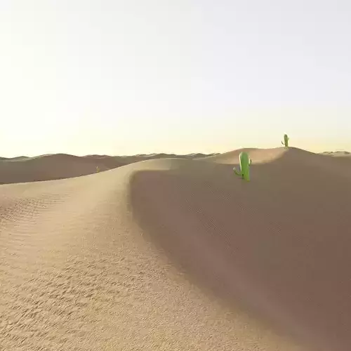 Desert cactus plants in