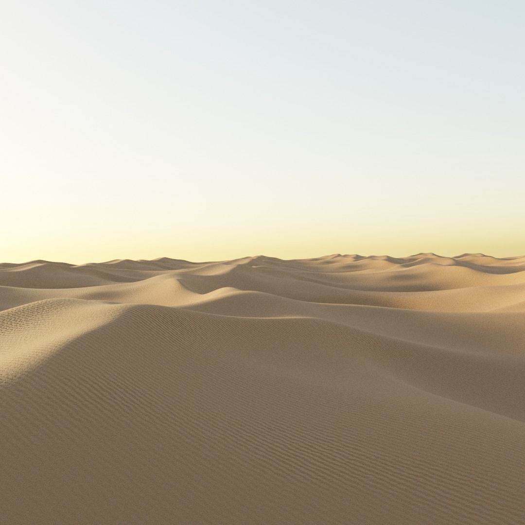 Desert cactus plants in Texture_4