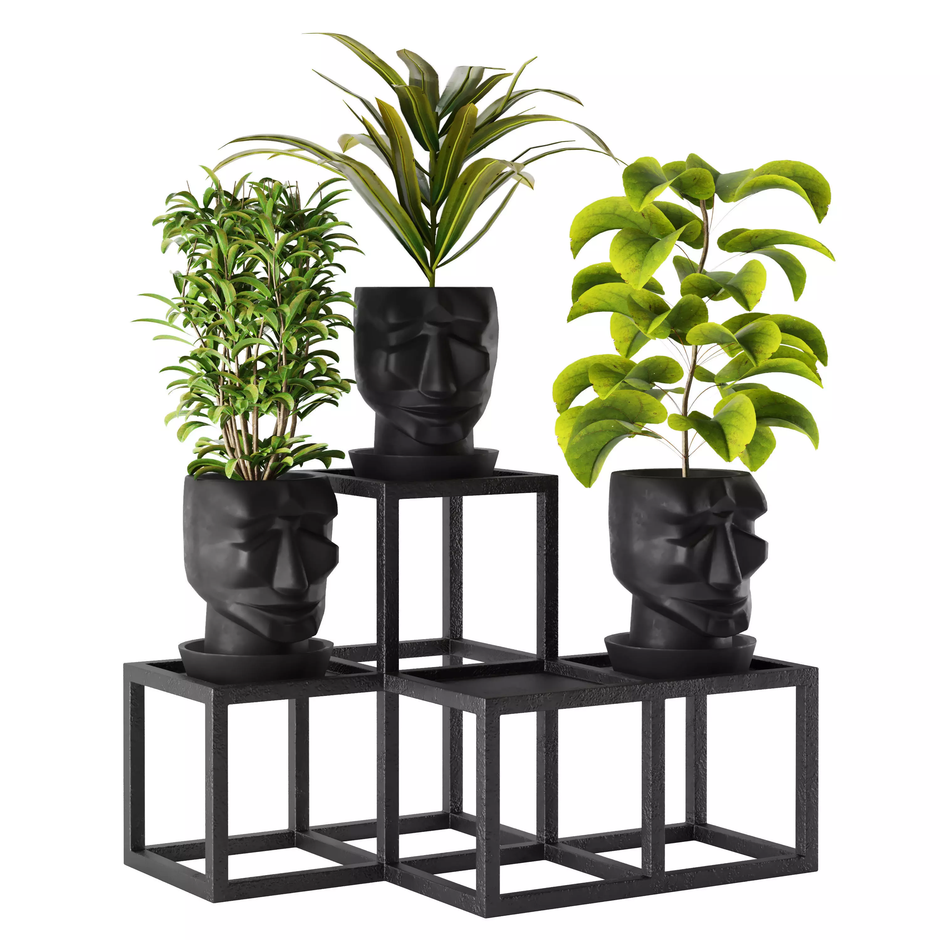 Pot Adan 3D model
